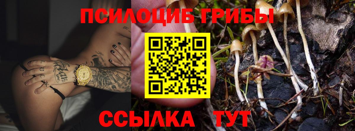 Псилоцибиновые грибы Cubensis  купить наркотик  Коломна  Галлюциногенные грибы Magic Shrooms  Вход с VPN 